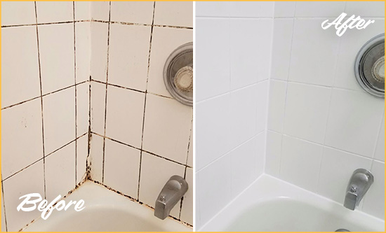 Before and After Picture of a Ocean View Shower Tile and Grout Cleaned to Eliminate Mold