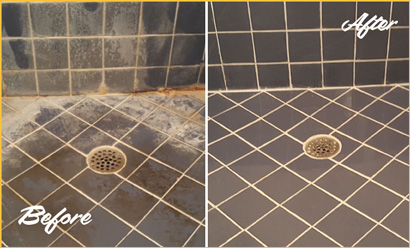 Shower Floor and Wall Before and After a Tile Cleaning in Millsboro