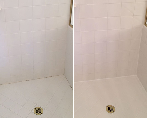 Shower Stall Before and After a Tile Cleaning in Dover