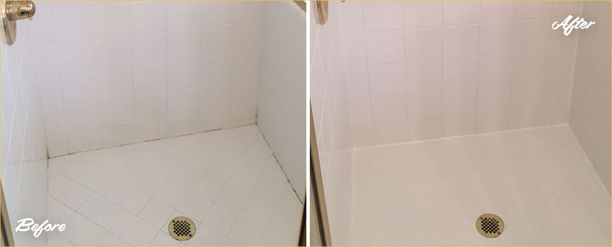 Shower Stall Before and After a Tile Cleaning in Dover