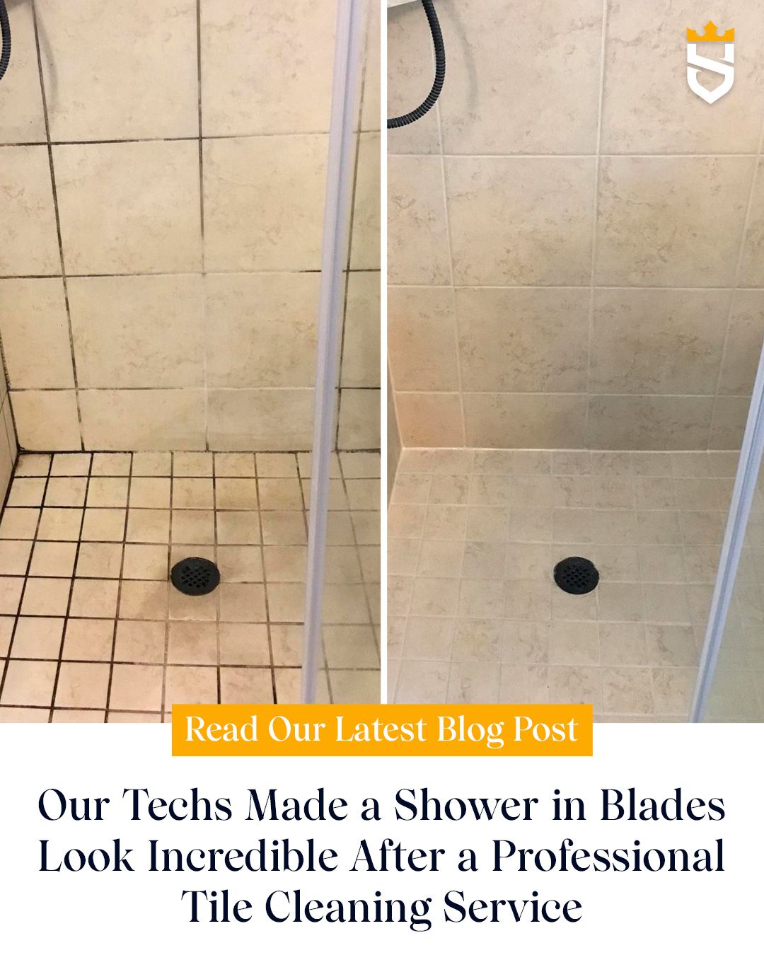 Our Techs Made a Shower in Blades Look Incredible After a Professional Tile Cleaning Service