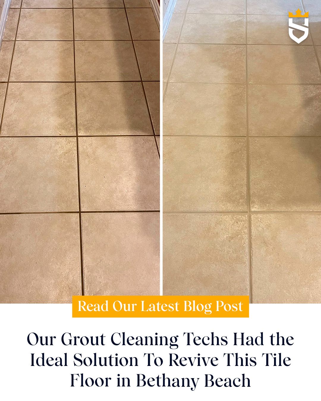 Our Grout Cleaning Techs Had the Ideal Solution To Revive This Tile Floor in Bethany Beach