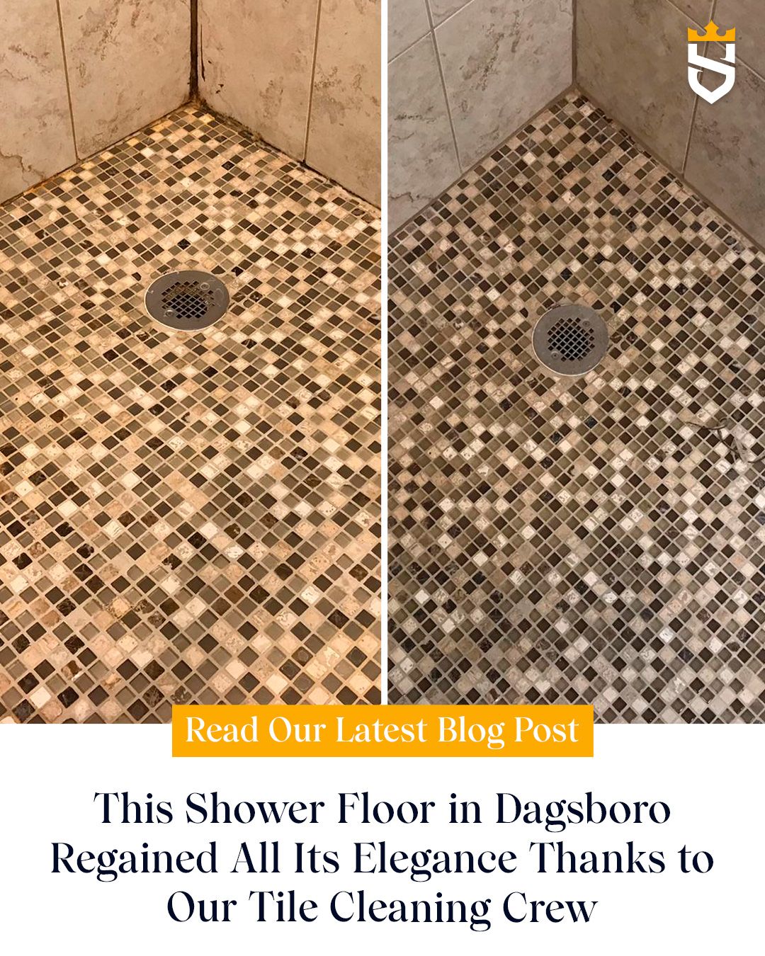 This Shower Floor in Dagsboro Regained All Its Elegance Thanks to Our Tile Cleaning Crew